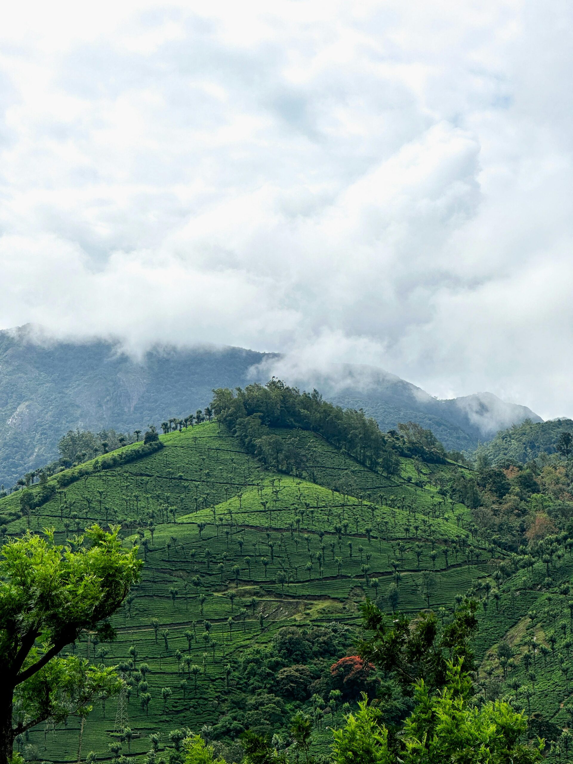 pexels akhil saji 2152011731 33347829 scaled