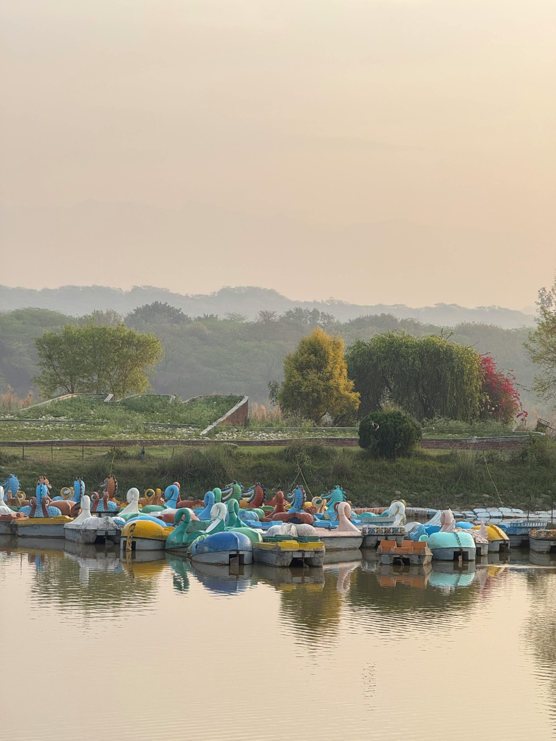 pexels ananya mandial 931631 31103717 scaled